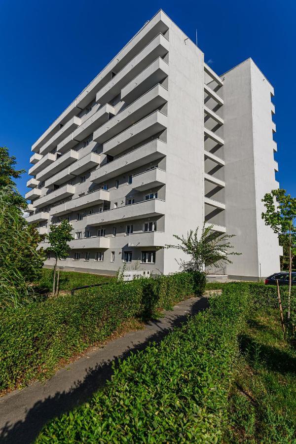 Koa - Pandora Apartments Brassó Kültér fotó